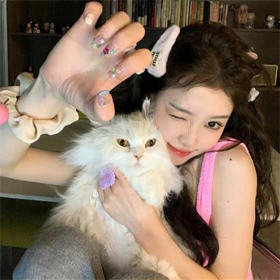 妙警贼探第六季